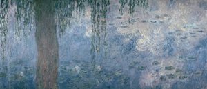 Tavirózsa: Reggel síró fűzfákkal, 1914-18 (jobb oldali rész) alkotó: Claude Monet