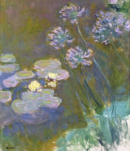 Tavirózsa és Agapanthus alkotó: Claude Monet