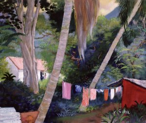 Mosás szárítás, Guadeloupe
