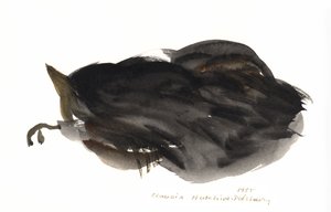 Alvó macska, 1985 (akvarell) alkotó: Claudia Hutchins Puechavy