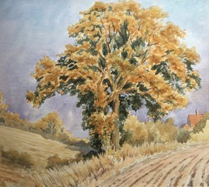 Szüreti naplemente, North Denford alkotó: Clive Wilson