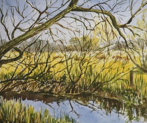 Water Meadows, Kintbury, május eleji délután alkotó: Clive Wilson