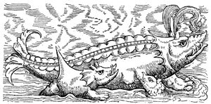 Breastfeeding whale and sea pig alkotó: Conrad (after) Gesner