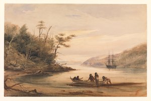Portrait Cove, Beagle-csatorna