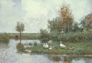Kacsák a folyóban (olaj, vászon)