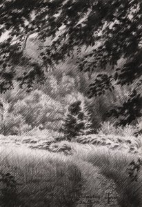  alkotó: Corné Akkers