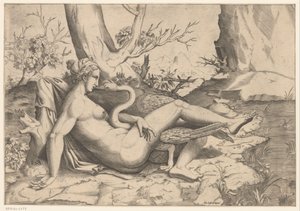 Léda és a hattyú alkotó: Cornelis Bos (possibly)