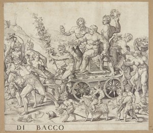 Bacchus diadala