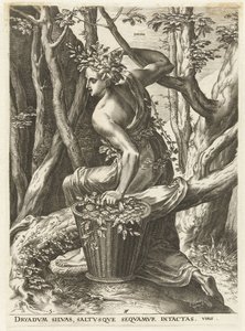 Dryas (cím a tárgyon) Istennők és nimfák (sorozat címe) alkotó: Cornelis Cort