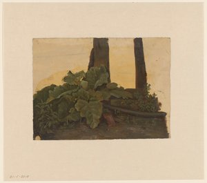 Növények egy fatörzs tövében alkotó: Cornelis Johannes de Vogel