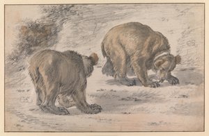 Medve különböző testhelyzetekben alkotó: Cornelis Saftleven