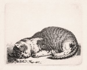 Alvó macska, 1607-81 körül