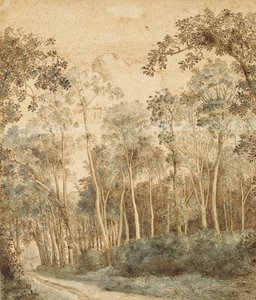 Erdős táj (toll és barna tinta és wc papíron) alkotó: Hendrick Cornelisz. Vroom