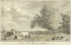 Tehenek a réten Haarlem kívül, Schooten (cím az objektumon)