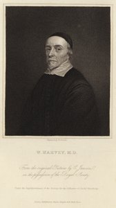 William Harvey alkotó: Cornelius Janssen van Ceulen