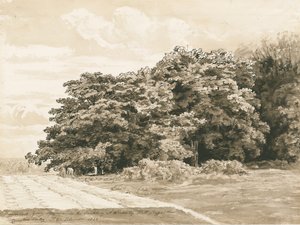 Wrottesley Hall – A cserje: szépia rajz, 1820 alkotó: Cornelius Varley