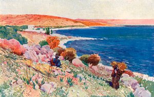 Bethsaida helye