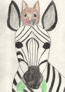 Barátom a zebra