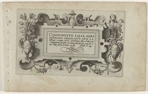Címlap és tizenegy nyomat virágokról, növényekről és gyümölcsökről Cartouche görgős munkakerettel a sorozathoz: Cognoscite lilia Cognoscite lilia (sorozat címe az objektumon) alkotó: Crispijn van de Passe (I) (attributed to)
