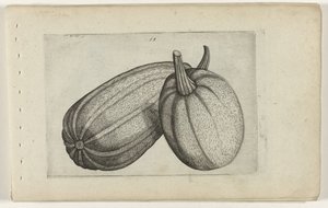 Két dinnye Ismerje meg a liliomokat (sorozat címe) alkotó: Crispijn van de Passe (I) (attributed to)