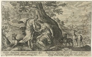 Apollo en Hyacinthus Metamorfosen van Ovidius (sorozat címe)