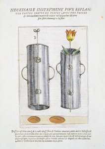 Virágok újraültetésére szolgáló eszköz, a „Hortus Floridus”-tól, 1614-1515