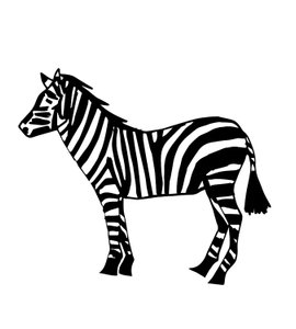Zebra, 2024 (vegyes technika)