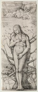 Eve. alkotó: Daniel Hopfer