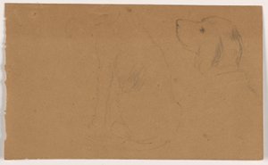 Rajz, Dash (egy szetter), fej és test, 1862 körül. alkotó: Daniel Huntington