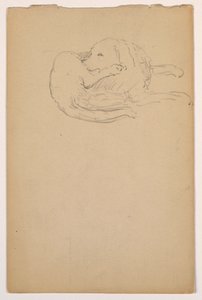 Rajz, Dash (egy szetter), 1862 körül. alkotó: Daniel Huntington