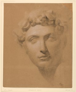 Rajz, Férfi fej gipszből, 1840 alkotó: Daniel Huntington