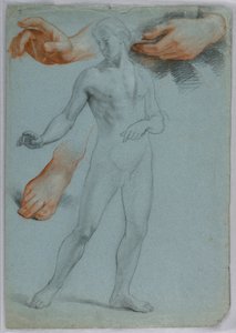 Rajz, Álló férfiakt, különálló, 1858 alkotó: Daniel Huntington