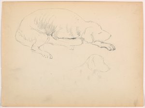Rajz, Milo (egy mutatós kutya), Két tanulmány, 1862 körül. alkotó: Daniel Huntington