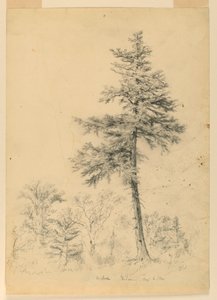 Hemlock, Gorham, New Hampshire tanulmánya alkotó: Daniel Huntington