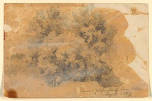 Study of Trees, Genf alkotó: Daniel Huntington