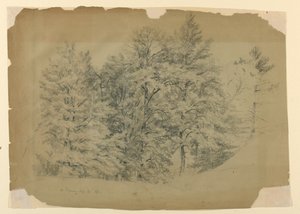 Study of Trees, North Conway, New Hampshire   1261925   hu       hungarian Successfully Translated  Original: Christ on the Road to Calvary Translat: Christ on the Road to Calvary 1400331 hu hungarian Successfully Translated Original: Hameji Castle - Morni alkotó: Daniel Huntington