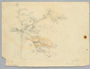 Két fenyő tanulmányozása, Catskill-hegység alkotó: Daniel Huntington