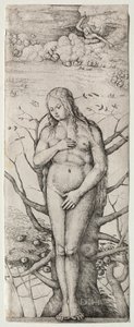 Eve