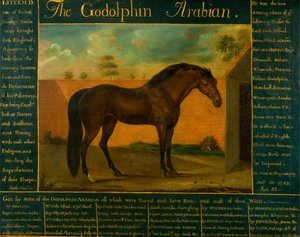A Godolphin Arabian alkotó: Daniel Quigley