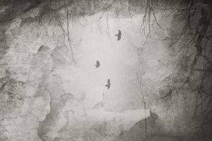  alkotó: Daniela Riegler