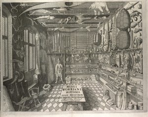 "Musei Wormiani Historia" előlapja a "Museum Wormianum"-ból, Ole Worm
