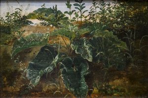  alkotó: Dankvart Dreyer