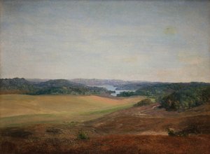 Táj Silkeborg közelében, Jütland