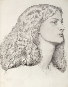 Annie Miller (toll és tinta)