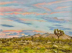 The Joshua Tree, 2023 (ceruza, papír)