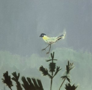 Strange Bird Alighting alkotó: David Alan Redpath Michie