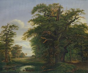 Tölgyfa, 1847 alkotó: David Christopher Mettlerkamp