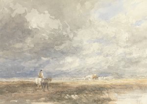 Hayfieldbe megy alkotó: David Cox