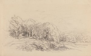 Táj a fákkal alkotó: David Cox