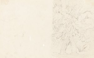 Fák [fordítva] alkotó: David Cox